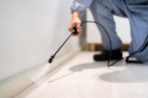 Certified termite inspector examining foundation in Elgin